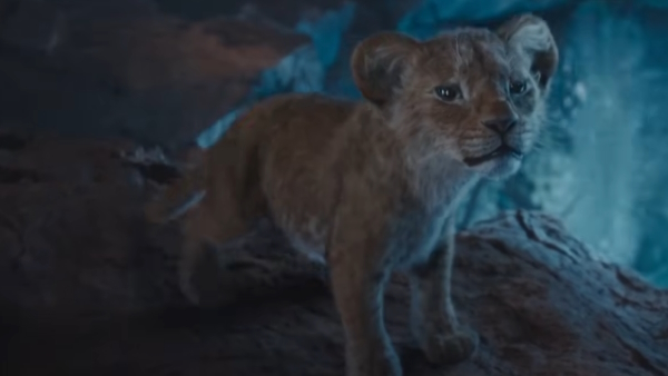 Mufasa The Lion King Outsiders Clip Teased By Disney Mufasa The Lion King Outsiders Clip Teased By Disney