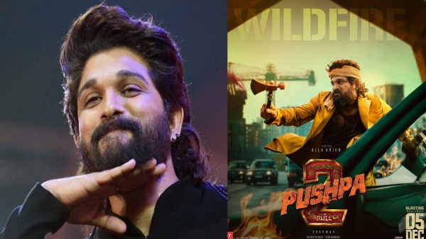 Pushpa 2 Premiere Stampede Cases Booked On Allu Arjun