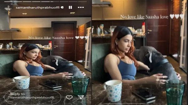 Samantha: 'No Love Like..' Amid Sobhita's Marriage With Chay
