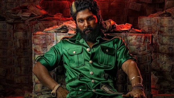 Pushpa The Rule Box Office Collection Day 20 Early Updates Pushpa The Rule Box Office Collection Day 20 Early Updates