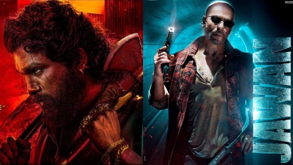 Pushpa 2 Box Office Collection Day 17 Hindi Pushpa 2 Box Office Collection Day 17 Hindi