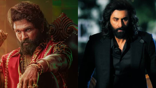 Pushpa 2 Box Office Collection Day 8 Hindi