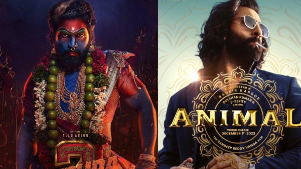 Pushpa 2 Box Office Collection Day 2 Hindi