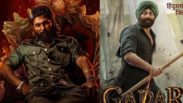 Pushpa 2 Box Office Collection Day 6 Hindi Pushpa 2 Box Office Collection Day 6 Hindi