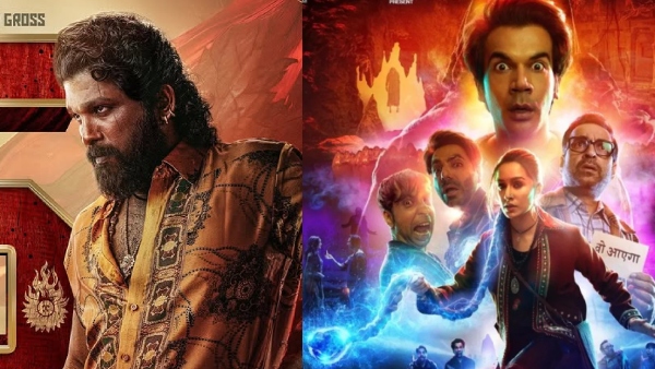 Pushpa 2 Box Office Collection Day 14 Hindi