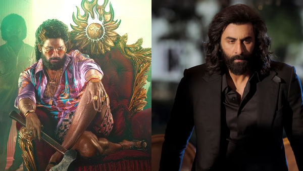 Pushpa 2 Box Office Collection Day 12 Hindi