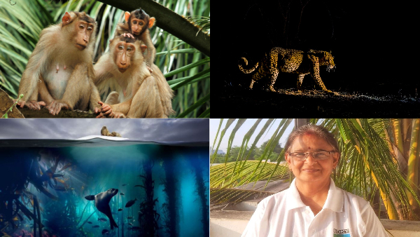 2024 Highlights Of Sony BBC Earth