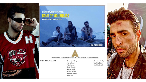 Band Of Maharajas Who Is Arjun Pratap Singh Bajwa