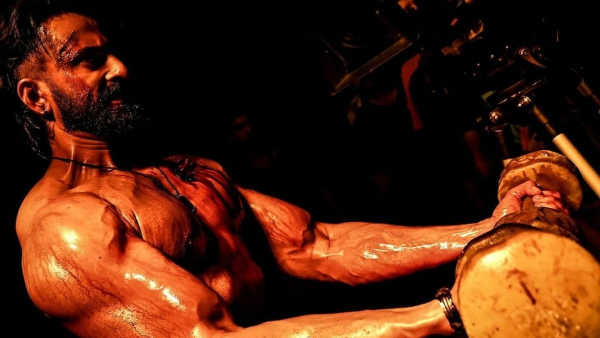 Marco Hindi Box Office Collection Day 20 Marco Hindi Box Office Collection Day 20