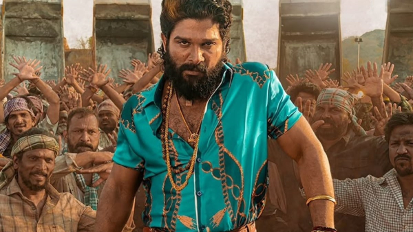 Pushpa 2 Hindi Box Office Collection Day 30 Pushpa 2 Hindi Box Office Collection Day 30