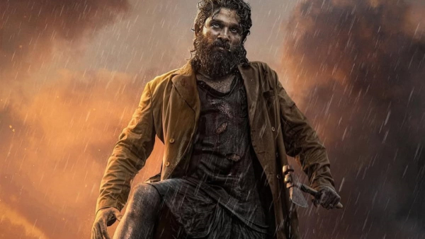 Pushpa 2 Hindi Collection Prediction Day 44 Pushpa 2 Hindi Collection Prediction Day 44