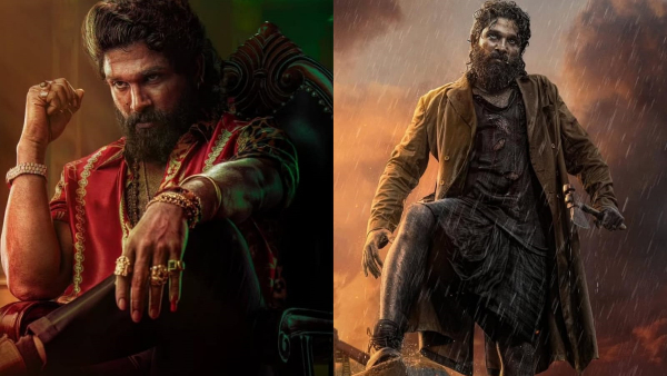 Pushpa 2 Box Office Collection Prediction Day 45 Hindi Reloaded Version