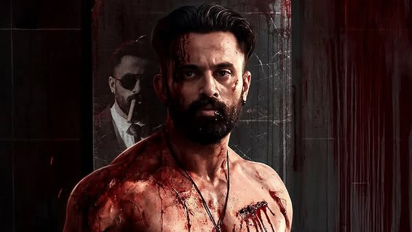 Marco Box Office Collection Day 13 Hindi Marco Box Office Collection Day 13 Hindi