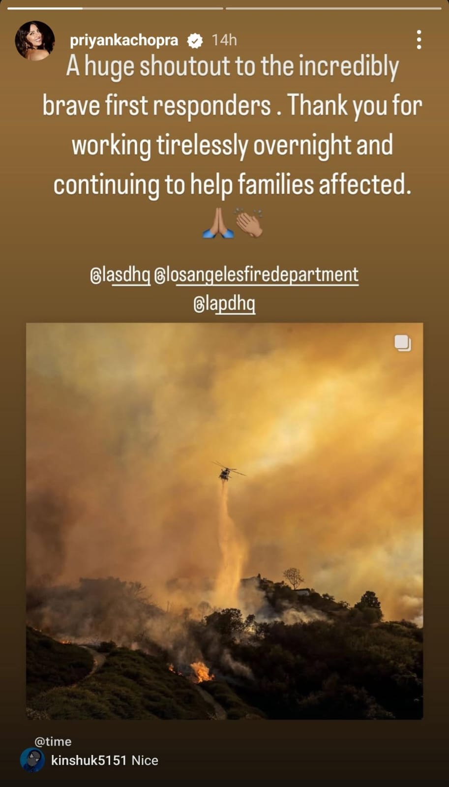 Priyanka Chopra Jonas REACTS To LA Wildfires; Gives Shoutout To First Responders