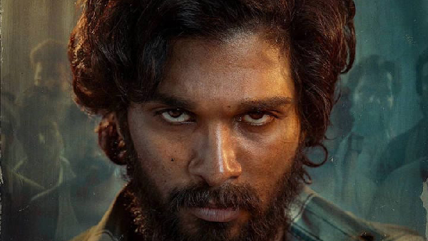 Allu Arjun s Pushpa 2 - The Rule Takes Over Netflix Bio