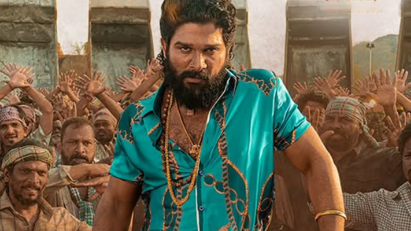 Pushpa 2 Box Office Collection Day 29 Hindi