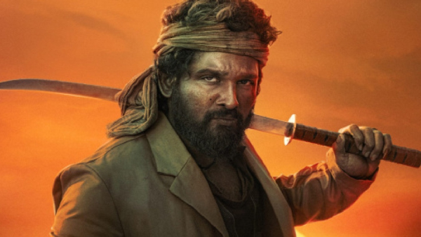 Pushpa 2 Box Office Collection Day 34 Hindi Pushpa 2 Box Office Collection Day 34 Hindi