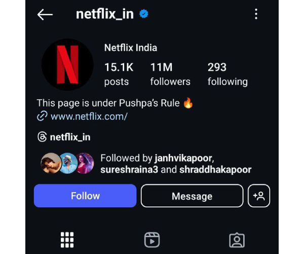 Allu Arjun s Pushpa 2 - The Rule Takes Over Netflix Bio