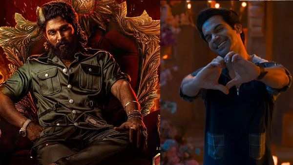 Pushpa 2 Box Office Collection Day 28 Hindi