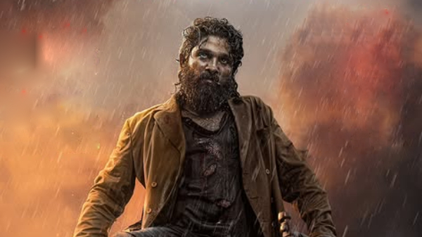 Pushpa 2 Box Office Collection Day 34 Hindi