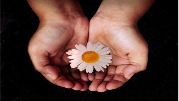 Six Years Of Rubaru Roshani s Impact