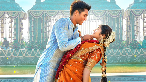 NEEK Kerala Box Office Struggles With Low Occupancy NEEK Kerala Box Office Struggles With Low Occupancy