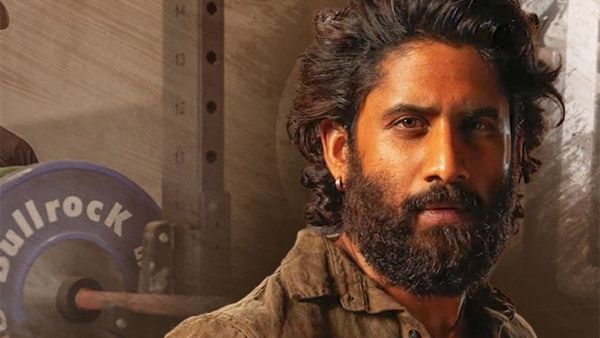 Thandel Box Office Naga Chaitanya s Film Set To Hit 50 Cr Thandel Box Office Naga Chaitanya s Film Set To Hit 50 Cr