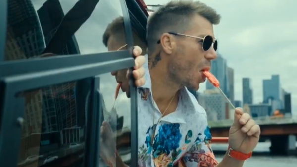 David Warner In Robinhoos David Warner In Robinhoos