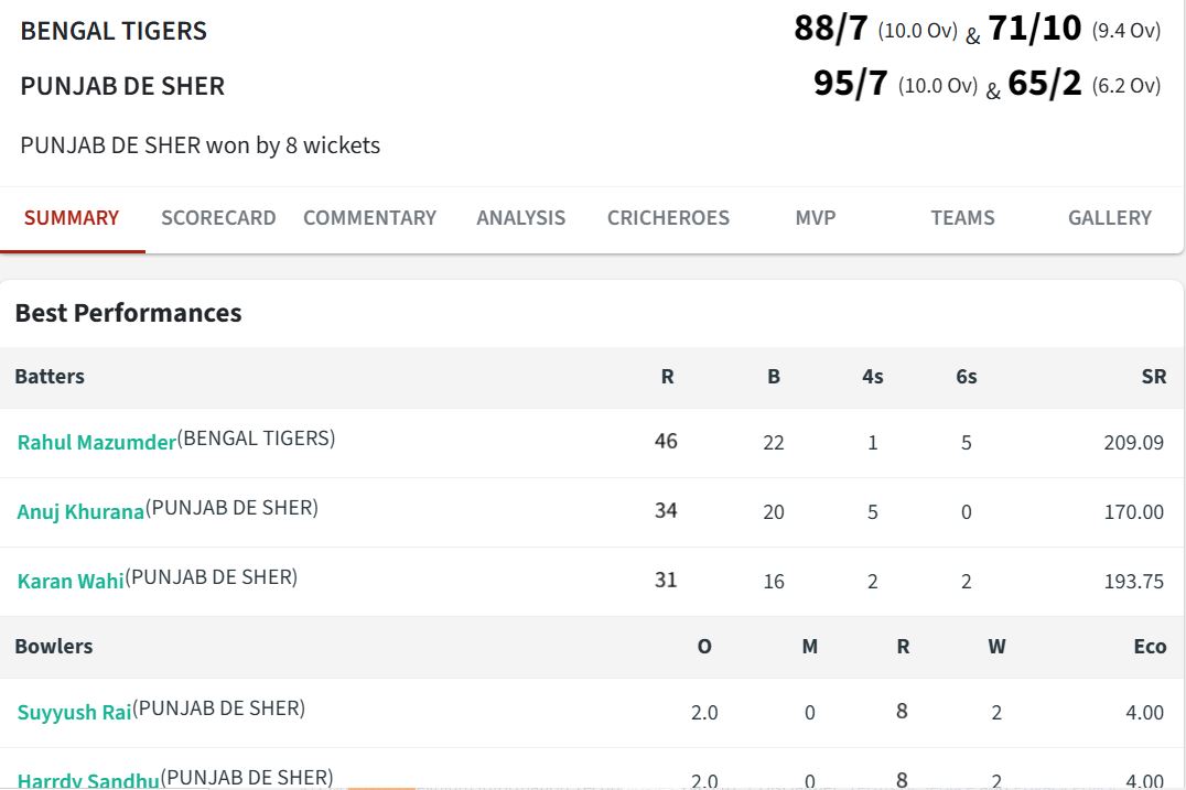 Punjab De Sher reach CCL 2025 final