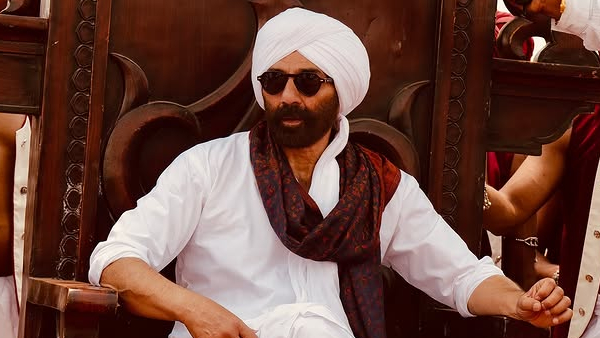 Jaat Box Office Collection Day 14 Prediction Jaat Box Office Collection Day 14 Prediction