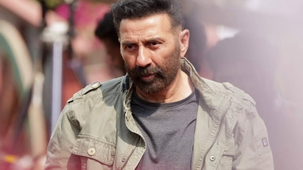 Jaat Box Office Collection Day 7 Early Updates Jaat Box Office Collection Day 7 Early Updates