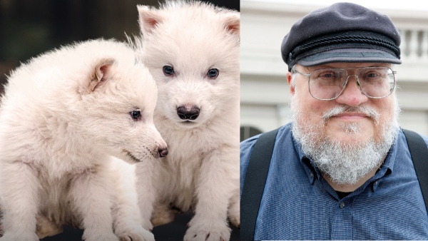 George R R Martin Involvement In De-extinction Of Direwolves