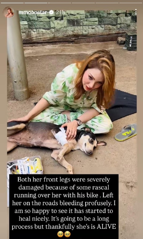 Munmun Dutta Rescues Injured Street Dog After Bike Accident