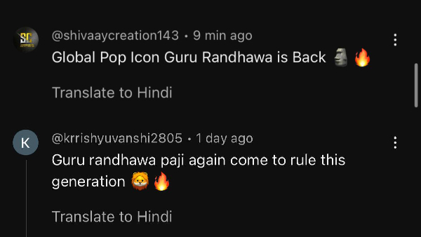 Guru Randhawa s Latest Song Vibe Is An Audience-Approved