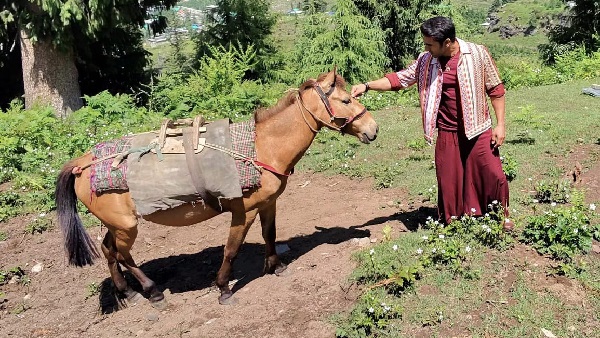 Pulkit Samrat Explores the Soul of Manali Amidst The Shoot