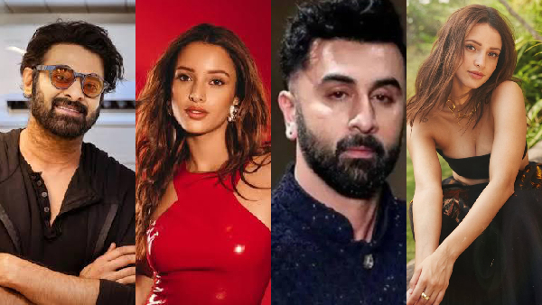 5 Thrilling Upcoming Projects of Triptii Dimri