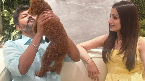 Trisha s Birthday Wish For Vijay Sparks Buzz