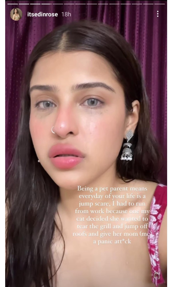 Bigg Boss 18 Fame Edin Rose Shares What Led To A Full-Blown Bigg Boss 18 Fame Edin Rose Shares What Led To A Full-Blown