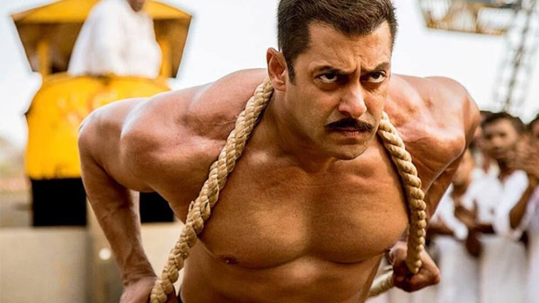 Sultan 5 Reasons Salman s Transformation Was Next Level Sultan 5 Reasons Salman s Transformation Was Next Level