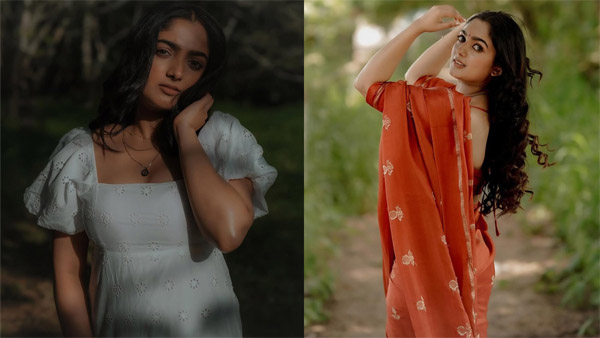 Bigg Boss Malayalam Season 7 Who Is Binny Sebastian