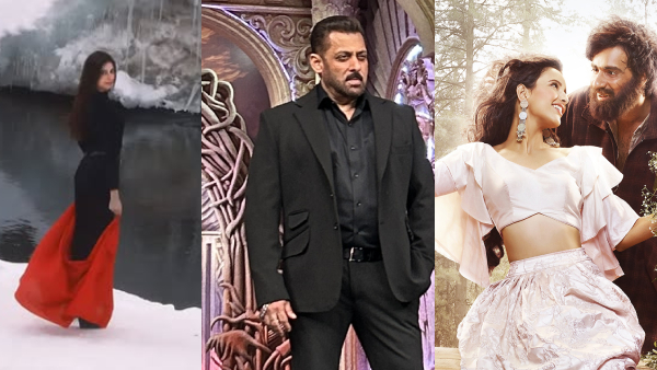 Bigg Boss 19 Premiere Contestants Update Bigg Boss 19 Premiere Contestants Update