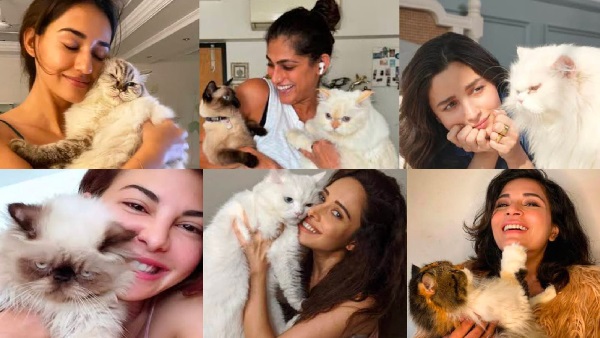International Cat Day Special Bollywood s Beloved Cat Moms