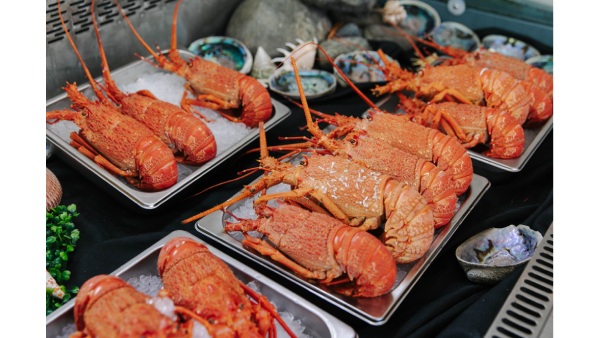 Rajkummar Rao And Patralekhaa s F amp amp B Experiences