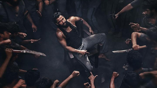 The Paradise Witness A Thrilling Glimpse From The World