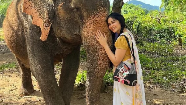Ganesh Chaturthi 2025 How Adah Sharma Celebrated Ganesh