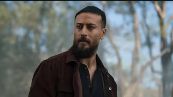 Baaghi 4 Box Office Collection Day 2