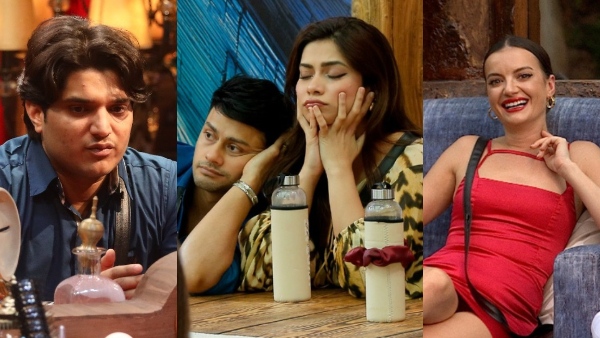 Bigg Boss 19 Eviction Voting Trends Who Will Be In Bottom 2