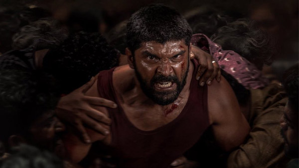 Dhruv Vikram s Bison Kaalamaadan Box Office Collection Day 6 Dhruv Vikram s Bison Kaalamaadan Box Office Collection Day 6