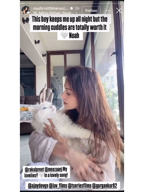 Romantic Track Raat Bhar From De De Pyaar De 2