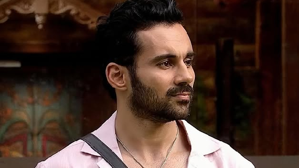 Bigg Boss 19 Elimination Reason